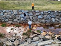 336492137 1960662117602795 6424821552041648721 n