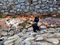 336561711 706088381295784 4436282017234182020 n