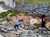 336592593 6043160422445787 6712506781739352928 n