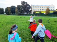 311216424 628910868701371 2307372946562379853 n