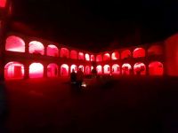 312533086 665031368592988 8407600627801996607 n