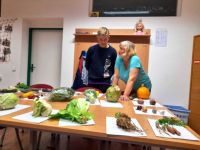 283433837 5734523113237513 8127573387172175303 n