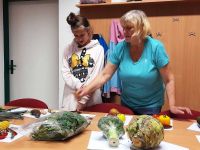 311019428 410502594592653 5612045522934972174 n