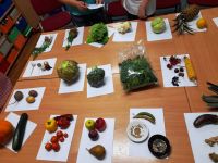 311255154 1363560550841883 7751406648597439522 n