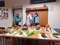 311277841 2031407487042528 4780297358240385333 n