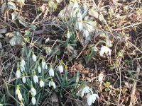 332069434 874134147208255 7016658694958086797 n