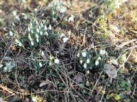 334589655 737371761374742 5863980556955600368 n