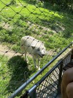 346154533 254397060577501 3813359865679878809 n