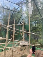 346157961 214534061380862 1138621873573808798 n