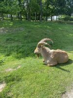 352474741 585753623645520 4130756155306414353 n