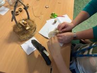 310087587 1533463573823629 8735082384058393390 n