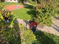 310443152 5486531544773382 7083272605427292394 n