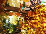 IMG 20221011 105050