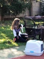 received 609500084235992