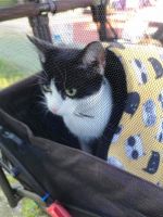 received 630923708737474