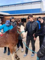 received 1254440385115596