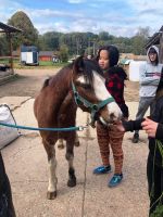 received 446456370887126