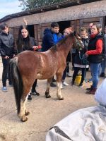 received 484850523578590