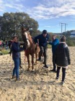 received 635536568050109