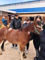 received 5418125381558233