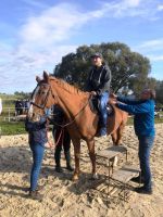 received 949582846001152