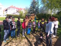 IMG 20230503 102040
