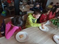 IMG 20230523 085224