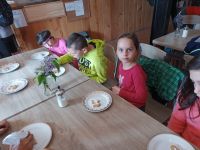 IMG 20230523 085239