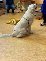 314465674 1326144448127648 8571126028816905759 n