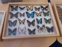 314750499 657240379221625 8956092654190936013 n