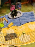 315117230 1246138465958270 4476594777409711684 n