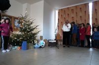 IMG 3661
