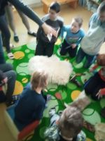IMG 20230221 093709