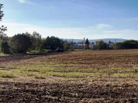 311167251 1174285339968680 8577844916109185175 n